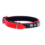 Bobby - bobby collier chat avec porte - adresse lost orange 30 x 1 cm
