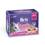 Brit - boites chat - brit plat familial en gel�e 1, 02 kg