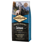 Carnilove - croquettes chien - carnilove adulte sans céréales saumon - 12kg