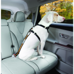 Kurgo - kurgo laisse ceinture de s�curit� voiture direct to seatbelt orange