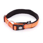 Martin sellier - collier chien martin sellier collier neo + orange 2, 5 x 55 � 60 cm