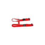 Martin sellier - harnais chat - martin sellier harnais réglable pattes rouge - 25 / 35 x 1 cm Martin sellier - harnais chat - martin sellier harnais réglable pattes rouge - 25 / 35 x 1 cm