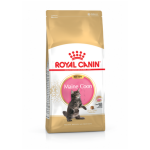 Royal canin - royal canin croquettes chaton maine coon - 2 kg