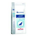 Royal canin - royal canin croquettes chien neutered junior large - 12 kg