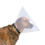 Trixie - soin chien trixie collerette de protection l