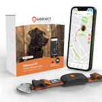 Weenect - weenect gps chien xt orange