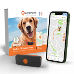 Weenect - s�curit� chien - weenect gps noir xs 60 x 23 x 12 mm
