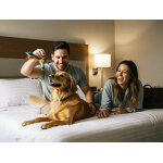 Escapade de 2 jours avec votre animal de compagnie coffret cadeau smartbox