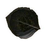 Assiette grs feuille hortensia riviera foret