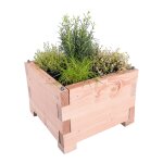 Carr de potager little en bois