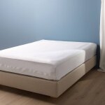 Housse anti - punaise de lit isis