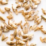 Oreiller ferme d'�peautre biologique