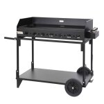 Plancha gaz exception pakita sur chariot