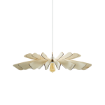 Suspension aurora