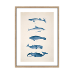 Tableau planche oc�an 50 x 70 cm