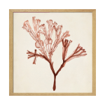 Tableau wag under algue c 40 x 40 cm