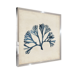 Tableau wag under algue e 40 x 40 cm