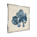 Tableau wag under algue g 40 x 40 cm