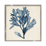 Tableau wag under algue h 40 x 40 cm