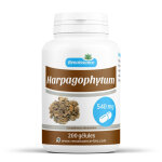 Renaissance bio harpagophytum - 540 mg - 200 glules