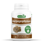 Renaissance bio harpagophytum - 600 mg - 250 comprims