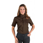 Isacco chemise unisexe dublino manches courtes marron cacao