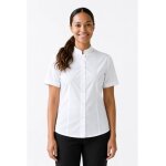 Isacco chemisette stretch col mao blanche