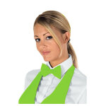 Isacco noeud papillon vert pomme