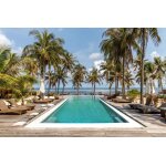 Alkorplan rouleau liner arm 200 / 100me de 1. 65 x 21 m - vogue - tropical