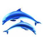 D�coration auto - collante 2 dauphins