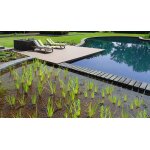Kit filtration bassin naturel aqua forte type ii : naturelle: 200 m3