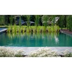 Kit filtration piscine naturelle - type iv : limpide : 50 m3