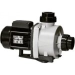 Pompe booster niger - delfino 1. 5 cv triphas�
