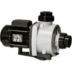Pompe booster niger - delfino 1 cv triphas�