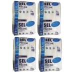 Sel granul spcial piscine ( electroyseur ) : pack de 100 kg