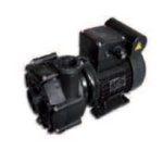 Speck pumpen pompe speck21 - 40 / 53g de 0. 55kw + ( gs14) + 2 raccords pvc