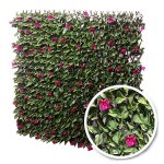 Treillis extensible bougainvilliers : 1m x 3m