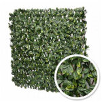 Treillis extensible laurier amande : 1m x 2m