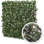 Treillis extensible lierre : 1m x 2m Treillis extensible lierre : 1m x 2m