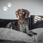 Madison coussin pour chiens velvet 120x90x15 cm gris