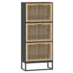 Vidaxl armoire � chaussures noir 52x25x120 cm bois d'ing�nierie