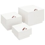 Vidaxl bo�tes de rangement et couvercles 3pcs blanc bois massif de pin
