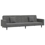 Vidaxl canap� - lit � 2 places avec deux oreillers gris fonc� velours