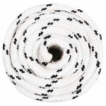 Vidaxl corde de bateau tress� blanc 20 mmx50 m polyester