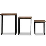 Vidaxl ensemble de table basse gigogne 3 pcs teck massif rcupration