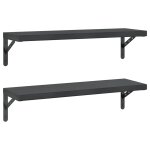 Vidaxl �tag�res murales 2 pcs 75x23, 5 cm noir acier inoxydable