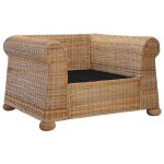 Vidaxl fauteuil avec coussins rotin naturel