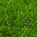Vidaxl gazon artificiel 1x15 m / 40 mm vert
