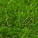 Vidaxl gazon artificiel 1x15 m / 40 mm vert