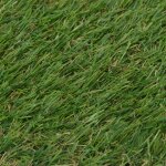 Vidaxl gazon artificiel 1x2 m / 20 mm vert